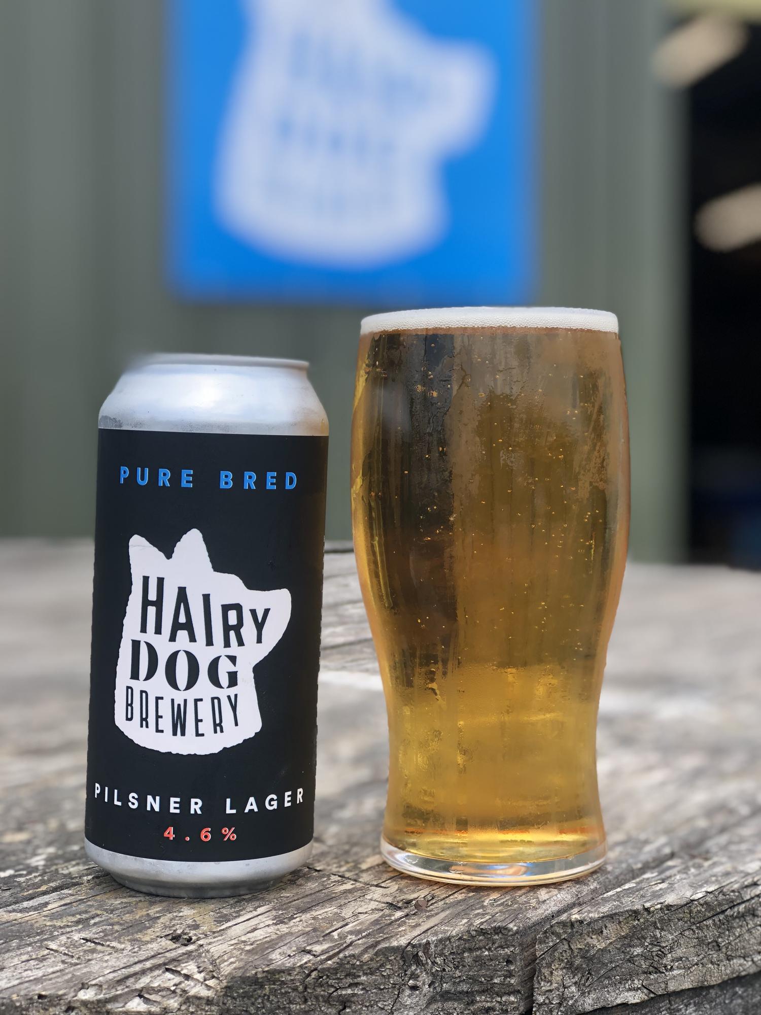 ‘PURE BRED’ PILSNER